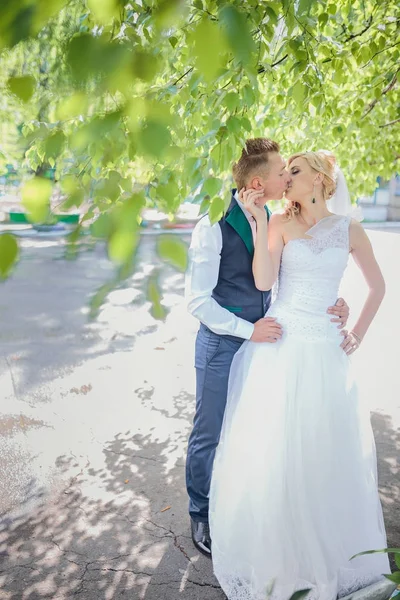 Bride and groom kissing in the park — Stock Photo, Image