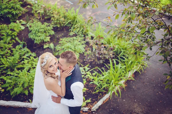 Joven pareja de boda disfrutando de momentos románticos —  Fotos de Stock