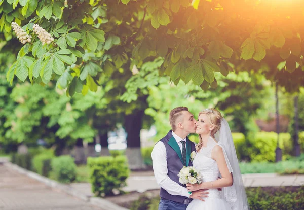 Novia y novio besándose en el parque — Foto de Stock