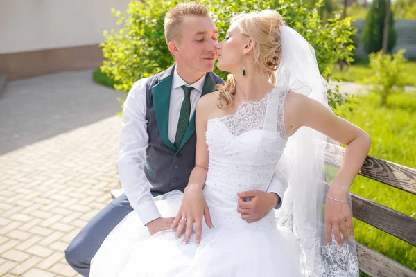 Наречений і наречений цілуються в парку — стокове фото