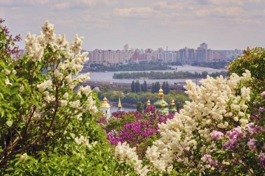 Hryshko Ulusal Botanik Bahçesi görünümden. Dnieper Nehri, Kiev
