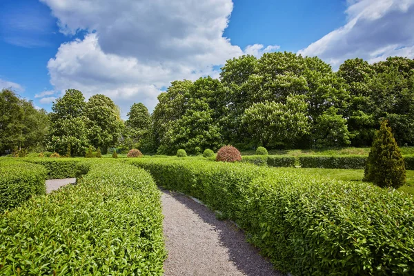 Labyrinth in a park at a sunny day in summer — Stock Photo, Image