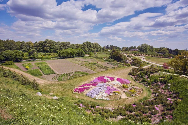 Parc à The Spring.Tulipes . — Photo