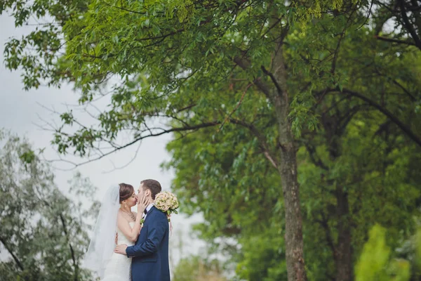 Braut Und Bräutigam Hochzeitstag Beim Spaziergang Der Natur Des Frühlings — Stockfoto
