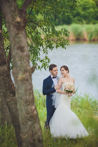 Bräutigam Und Braut Einem Park Brautkleid Brautstrauß Aus Blumen — Stockfoto