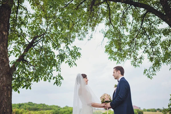 Bräutigam Und Braut Einem Park Brautkleid Brautstrauß Aus Blumen — Stockfoto