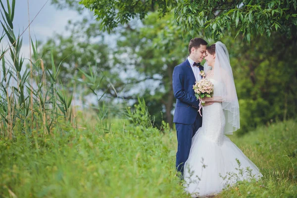 Novia Elegante Novio Posando Juntos Aire Libre Día Boda —  Fotos de Stock