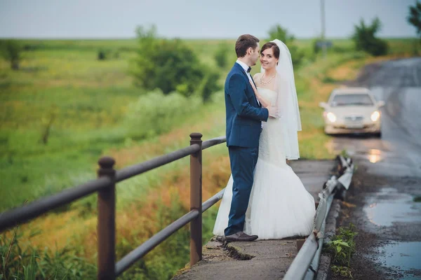 Fiatal Menyasszony Vőlegény Háttérben Mező — Stock Fotó