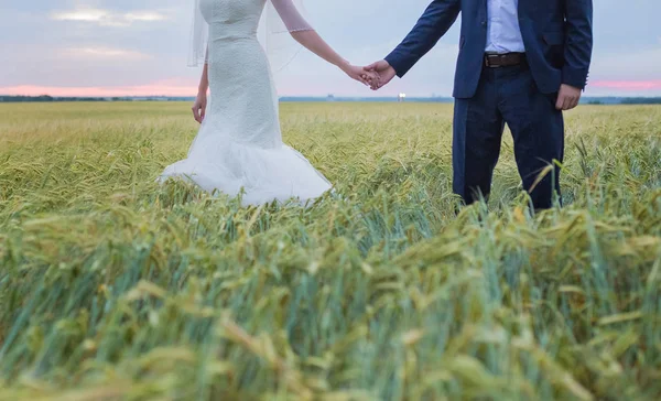 Unga Bruden Och Brudgummen Bakgrund Fältet — Stockfoto