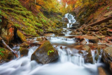 ormanda, sulu sonbahar manzara güzel şelale