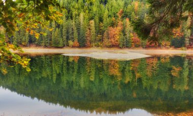 su kendi yansıması ile parlak sonbahar ağaçlar