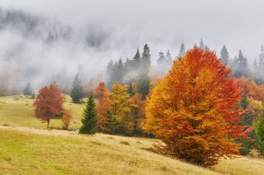 sis ve saman ile inanılmaz dağ manzarası