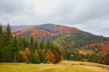 Güzel fantezi orman dere ile altın bir sonbahar manzara. Duvar-Poster fikir.