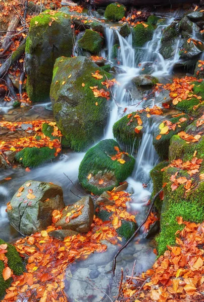 Schöner Wasserfall Gebirgsfluss Buntem Herbstwald Mit Roten Und Orangen Blättern — Stockfoto