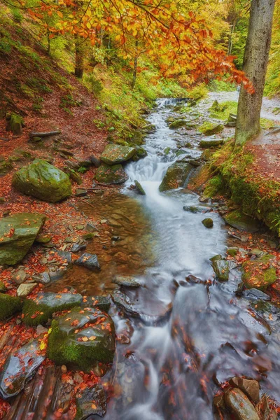 Szybkiego Górskiej Rzece Jesienią Colorfull Drewna Tło — Zdjęcie stockowe