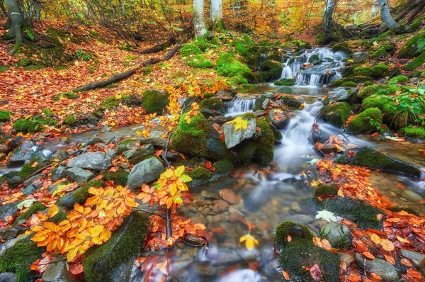 Autumn Creek Woods Yellow Trees Foliage Rocks Forest Mountain — Stock Photo, Image