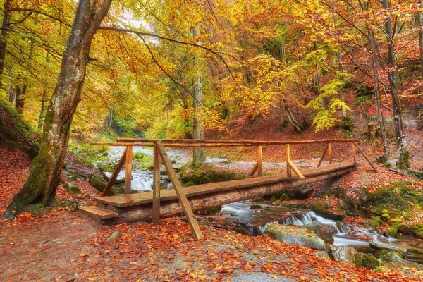 秋の森の小川で木製の橋 — ストック写真