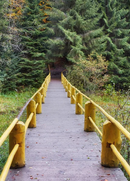 Paisaje Otoñal Puente Madera Parque Otoñal Entre Los Árboles Amarillentos — Foto de Stock