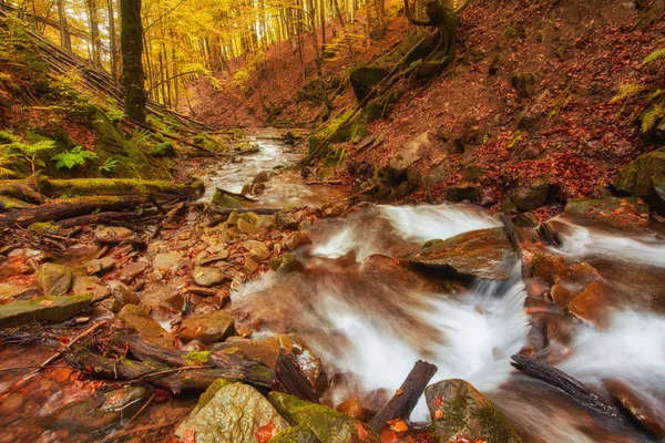 autumn stream in the forest, gold autumn European landscape, wallpaper landscape background