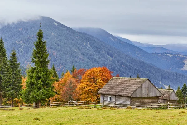 Renkli sonbahar manzara dağ köyünde. Karpat Dağları sisli sabah. Ukrayna, Europe.