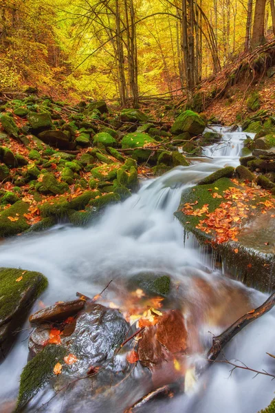 Schnellen Gebirgsfluss Herbst Farbenfroher Holz Hintergrund — Stockfoto