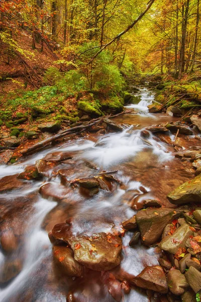 Быстрая Река Осенью Цветной Фон Дерева — стоковое фото