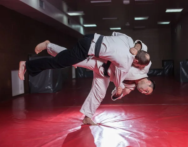Dos Luchadores Karate Mostrando Habilidad Técnica Mientras Practican Artes Marciales — Foto de Stock