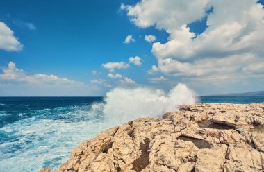 Büyük dalgalar kaçışı Polin Rocky Cape Yarımadası Lara hakkında