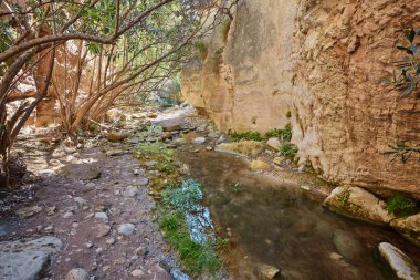 Kıbrıs'ta Avakas Gorge. Ön planda, güneşli kayalar Little Nehri