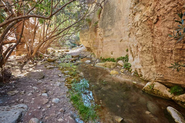 Avakas Gorge en Chipre. Pequeño río en primer plano, rocas soleadas — Foto de Stock