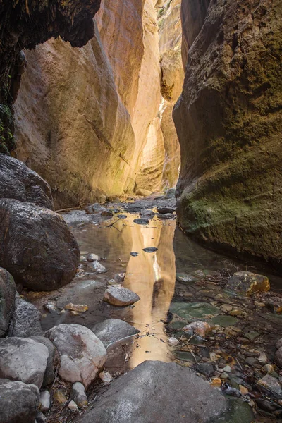 Avakas Schlucht in Zypern. kleiner Fluss im Vordergrund, sonnenbeschienene Felsen — Stockfoto