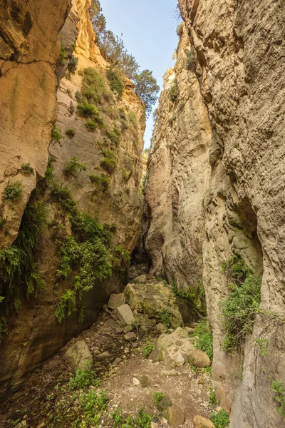 Increíble paisaje natural en el cañón de Avakas en Chipre. Nación — Foto de Stock