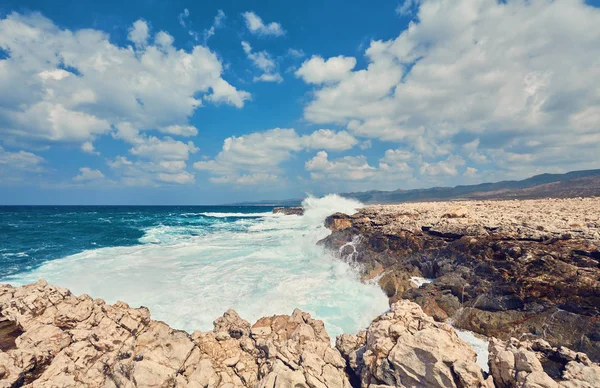 Büyük dalgalar kaçışı Polin Rocky Cape Yarımadası Lara hakkında