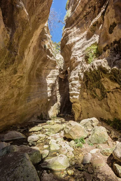 Increíble paisaje natural en el cañón de Avakas en Chipre. Nación — Foto de Stock