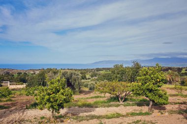 Kıbrıs Akamas yarımadası Milli Parkı dağın
