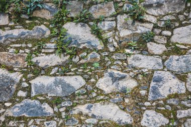 Yeşil yosunlu duvar arka plan