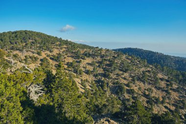 Atalanti Ulusal yolu. Chionistra dağın etrafından iz gider