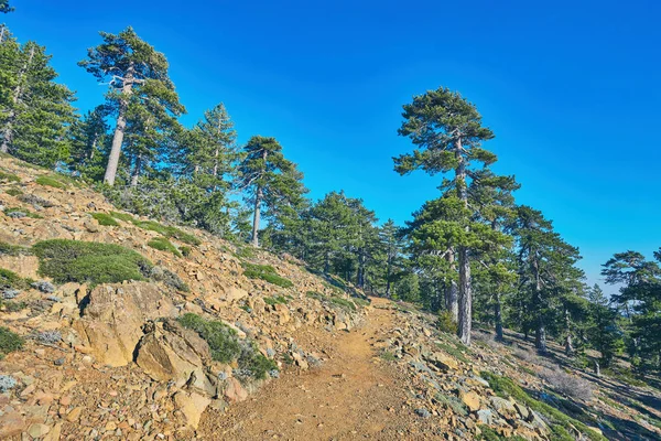 Atalanti national path.The trail goes around Chionistra mountain — Stock Photo, Image