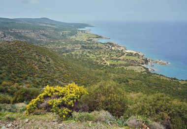 Taş ve kayalar ön planda kremsi sörf ve polis plajında akan, Kıbrıs.