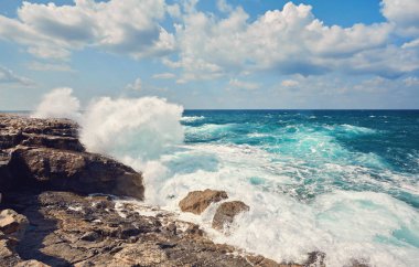 Büyük dalgalar kaçışı Polin Rocky Cape Yarımadası Lara hakkında
