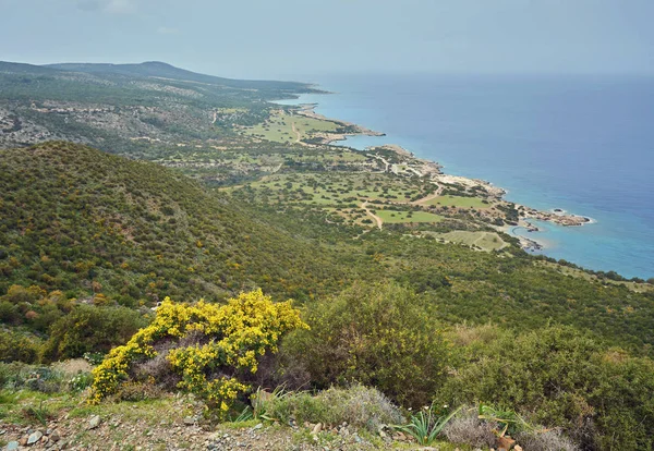 Πέτρες και βράχοι στο προσκήνιο με κρεμώδες σέρφινγκ και ρέει στην παραλία Χρυσοχούς, Κύπρος. — Φωτογραφία Αρχείου
