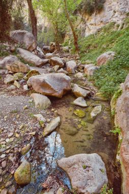 Kıbrıs'ta Avakas Gorge güneşli kayalar.