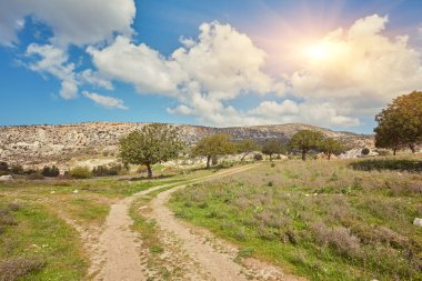 Güneşli ufuk patika Avakas Gorge yamaçlarında güneşli büyüme arasında.
