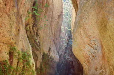 Kıbrıs'ta Avakas Gorge. Ön planda, güneşli kayalar Little Nehri