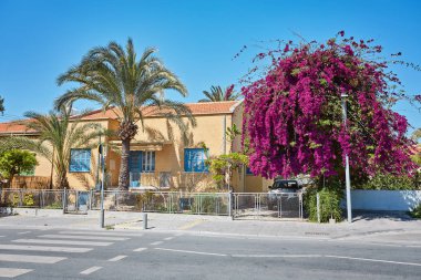 Popüler turistik Arasta sokak eski antika dükkanında. Nicosia
