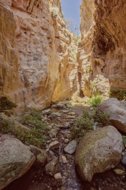 Kıbrıs'ta Avakas Gorge güneşli kayalar.