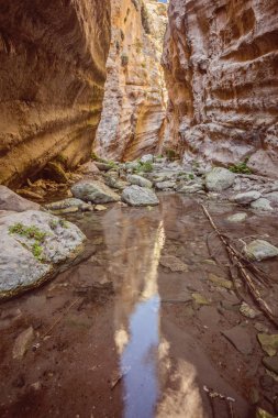 Kıbrıs'ta Avakas Gorge güneşli kayalar.