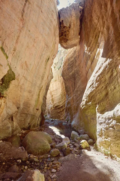 Avakas Gorge em Chipre. Pequeno rio em primeiro plano, rochas iluminadas pelo sol — Fotografia de Stock