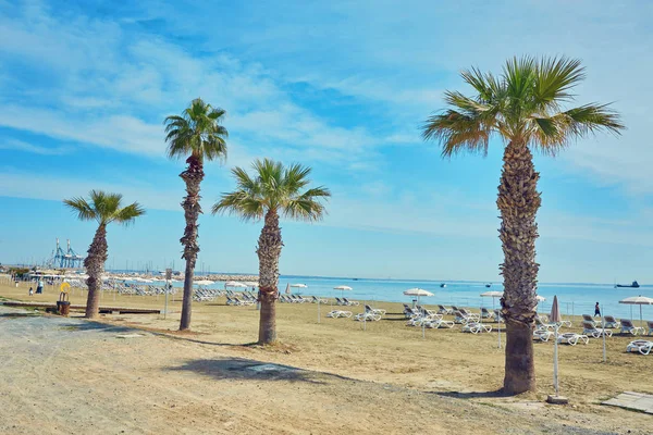 Playa de Finikoudes - Larnaka City, Chipre — Foto de Stock