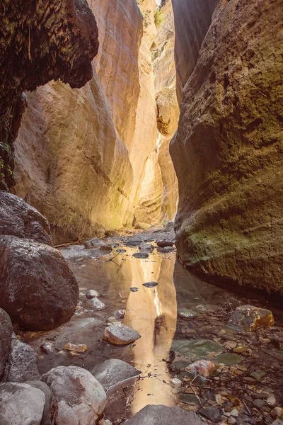 Paisagem natural incrível no desfiladeiro Avakas em Chipre. Parque nacional ensolarado selvagem com falésias, montanhas, rochas e árvores . — Fotografia de Stock